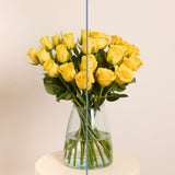 yellowrosesbloom