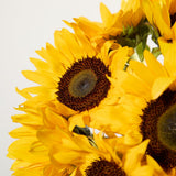 British Sunflowers
