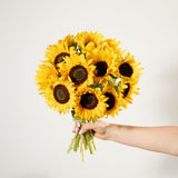 British Sunflowers
