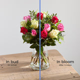 Mixed Roses