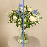 baby blue bloom