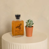 Beeble Honey Whisky and Organic Succulent