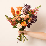 handheld