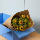 box