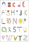 Baby Cards
