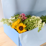 box