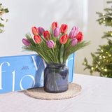 Letterbox Winter Tulips