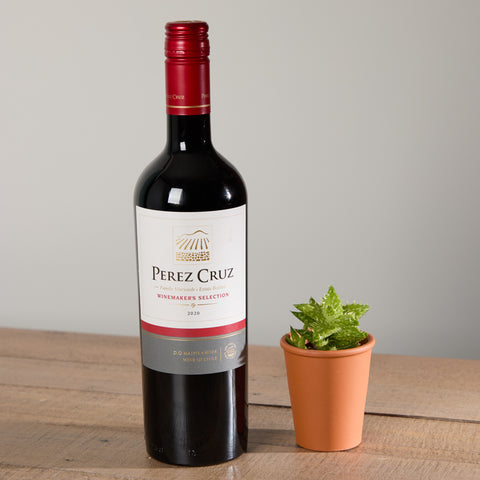 Perez Cruz Red Wine and Organic Succulent