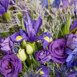 bluedetail