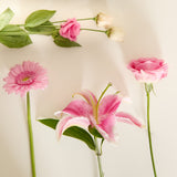 pinkperfectionstem