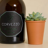 Prosecco and Organic Succulent