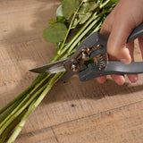 1-secateurs