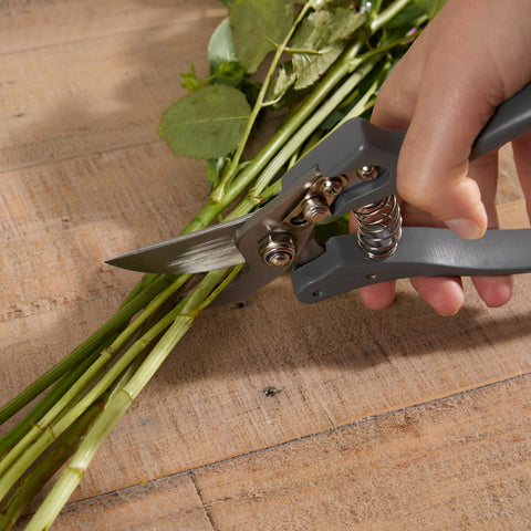 Secateurs