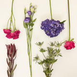 stem