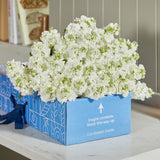 Monthly Flower Subscription